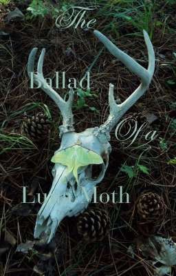 The Ballad of a Luna Moth