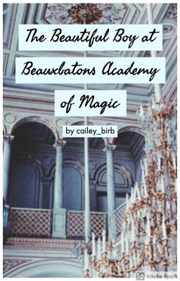 The Beautiful Boy at Beauxbatons Academy of Magic | A HP Fanfiction