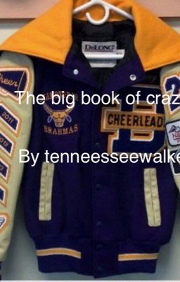 The big book of crazy 