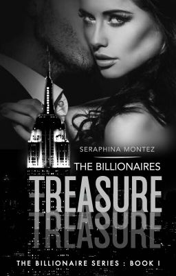 The Billionaires Treasure 