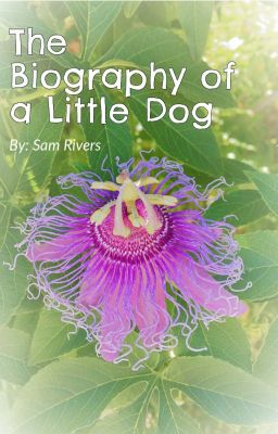 The Biography of a Little Dog