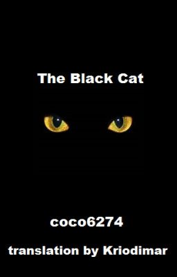 The Black Cat