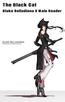 The Black Cat Blake Belladonna X Male Reader