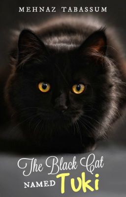 The Black Cat Named Tuki | ✔