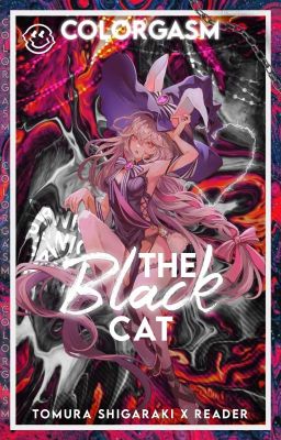 The Black Cat [Tomura Shigaraki x Fem!Reader]