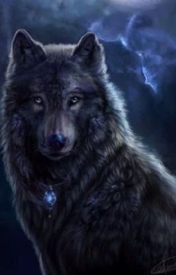 THE BLACK WOLF