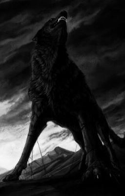 The Black Wolf