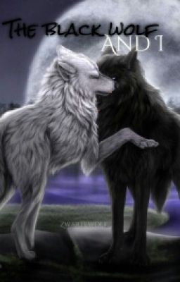 The black wolf and I   ●The Lost Mind Series●