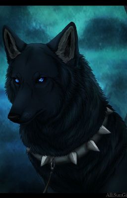 The Black Wolfdog ( Attack On Titan Fan Fiction )