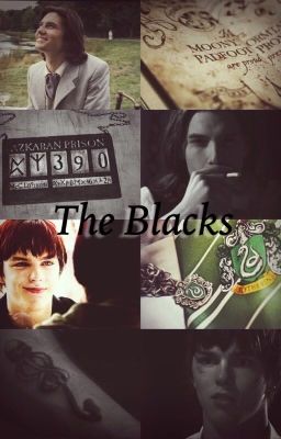 The Blacks |Harry Potter|