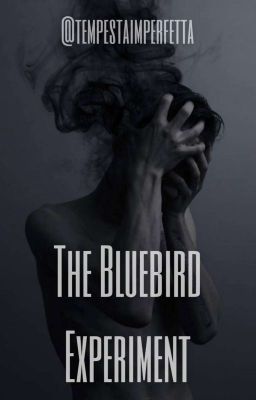 The Bluebird Experiment