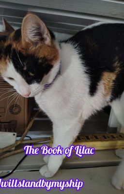 The Book of Lilac 