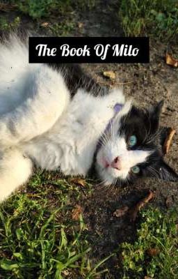 The Book Of Milo:3