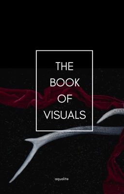 The Book Of Visuals