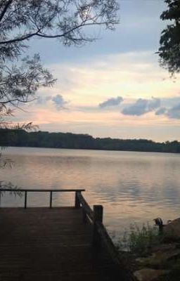 The Boy By The Dock