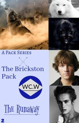 The Brickston Pack ... Pack Histories ... (The Runaway)~2