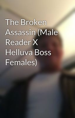 The Broken Assassin (Male Reader X Helluva Boss Females)