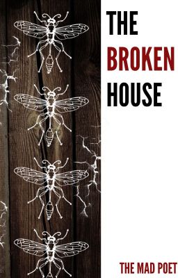 The Broken House (Short Story: The Deadly Events)