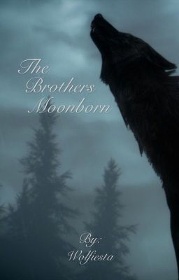 The Brothers Moonborn