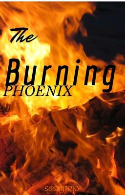 The Burning Phoenix || {Seven Deadly Sins Fanfic}