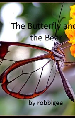 The Butterfly and the Bear