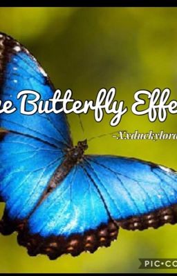 The Butterfly Effect