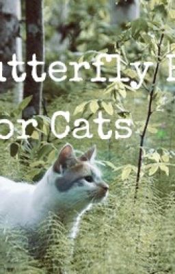 The Butterfly Effect: Warrior Cats