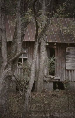 The Cabin