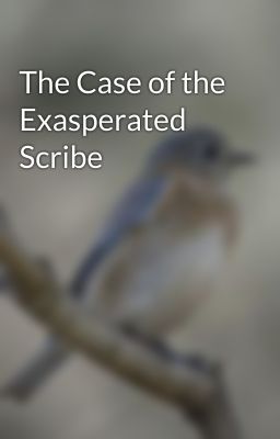 The Case of the Exasperated Scribe