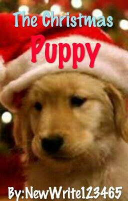 The Christmas Puppy!