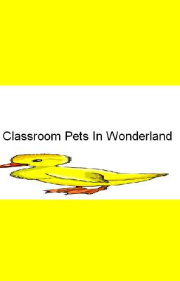 The Classroom Pets In Wonderland