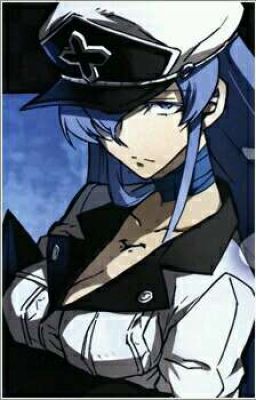 The Cold Hearted Ice Queen. (EsDeath X Reader) 