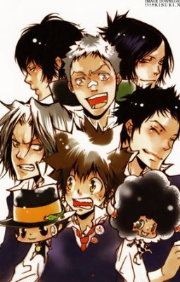 The Collaboration of Vongola Craziness (Katekyo Hitman Reborn Fanfiction)