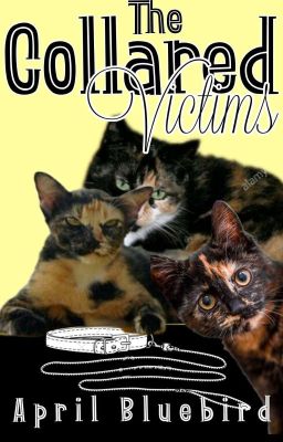 The Collared Victims ✔️ (A Cat Book)