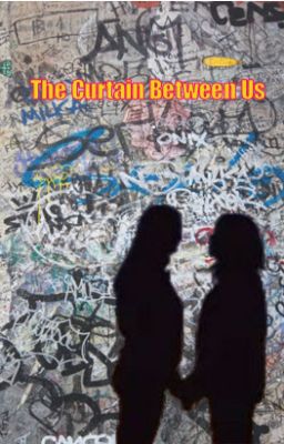 The Curtain Between Us