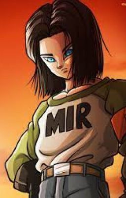 The Cyberized Twins of Remnant: Android 17 Male Reader x RWBY Harem