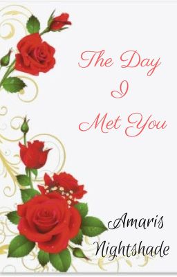 The Day I Met You