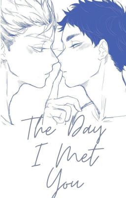 The Day I Met You