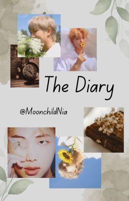 The Diary (COMPLETED)