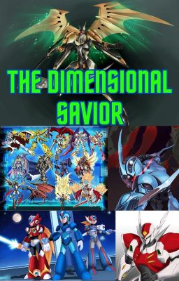 The Dimensional Savior