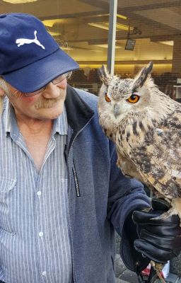 The Eagle Owl.