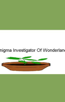 The Enigma Investigator Of Wonderland