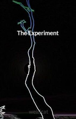 The Experiment