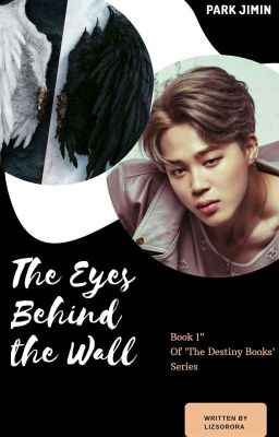 The eyes behind the wall//PJM