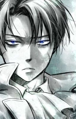 The Fighter - Levi x Powerful Reader