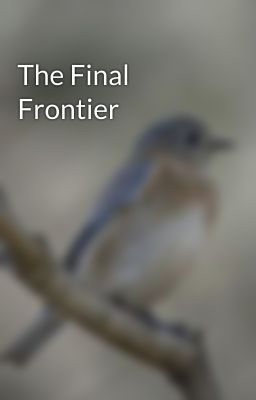 The Final Frontier