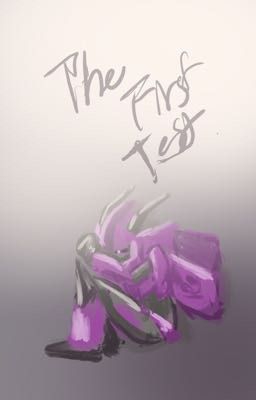 The First Test 