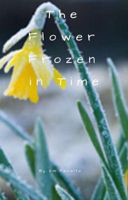 The Flower Frozen in Time // A Zelink Fanfic// Book #2 of Flower series