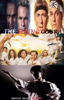 THE FLYING COBRA (Miguel Diaz X Reader)