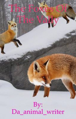 The foxes of the valley